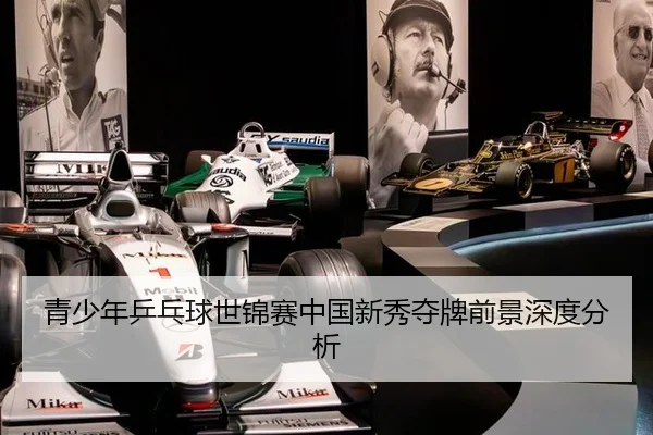 qing-shao-nian-ping-pang-qiu-shi-jin-sai-zhong-guo-xin-xiu-duo-pai-qian-jing-shen-du-fen-xi-2-196.jpg